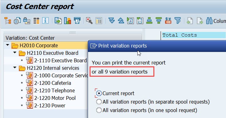 print_variation_reports
